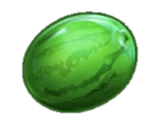 Wassermelone